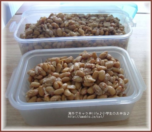 yogurt japan maker Maker  Food Go a Anywhere Natto  Homemade Yogurt Japanese Using You