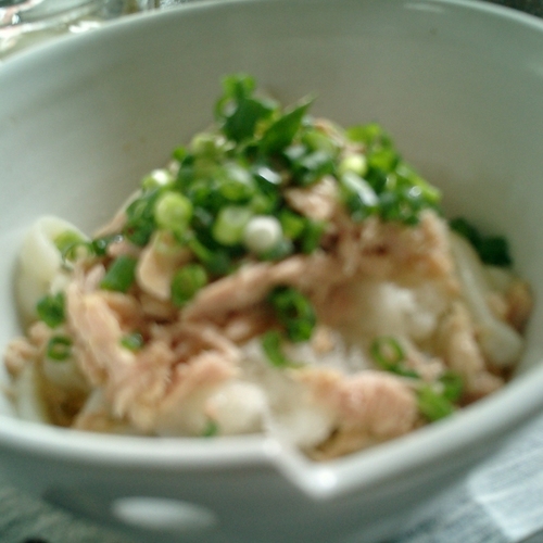 Cool Udon Noodles With Tuna and Grated Daikon Radish Washoku.Guide